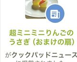 超ミニミニりんごのうさぎ（おまけの扇）作り方11写真