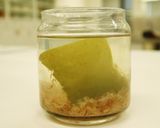 離乳食：はくさいと高野豆腐のトロ煮作り方6写真