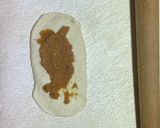 薄力粉でもっちりベーグル作り方7写真