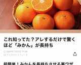 置き方で簡単！みかん長持ちのコツ作り方12写真