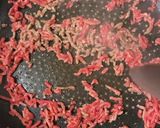 「素」不使用。絶品！麻婆豆腐作り方1写真