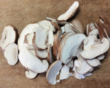 簡単 節約✾鶏むね肉と もやしの白だし煮作り方1写真