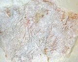 家族が喜ぶおかず・鶏肉があったら油淋鶏作り方4写真