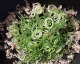 麻婆豆腐☆隠し味に名古屋名物つけて味噌作り方2写真