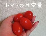豚バラゴーヤのガリバタポン♪作り方2写真