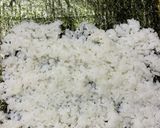 恵方巻き作り方1写真