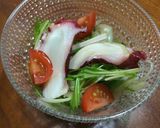 ☆タコと玉ねぎと水菜のサラダ　＋トマト作り方9写真