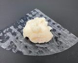 ライスP お店みたいな かにシュウマイ作り方6写真