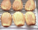基本のマドレーヌ作り方12写真
