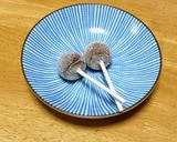 簡単！手作り酸っぱチャプス作り方6写真