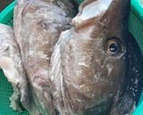 マダラアラの潮煮(なべじversion)作り方3写真