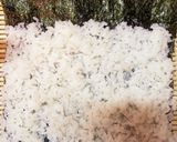 酢飯を使わない「サラダ太巻き」作り方1写真