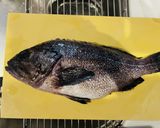 釣って来たクロソイのキムチ鍋作り方2写真