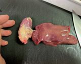 トロけるネギだれ鶏レバー✨作り方1写真