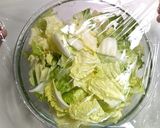 ウインナーと白菜の野菜のポトフ★動画あり作り方10写真