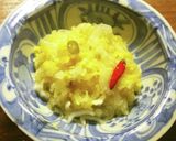 塩だけ乳酸発酵白菜漬けヨーグルトメーカー作り方12写真