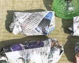 長持ち保証！土付きレンコンの簡単保存法作り方2写真