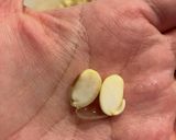 200gの大豆で作る　米味噌、豆味噌作り方1写真
