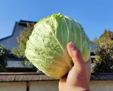 農家の食卓〜豚ひき肉でお好み焼き〜作り方1写真