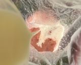 【ポリ袋で簡単】とろとろいちごプリン作り方8写真