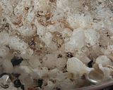 ポップコーン (うす塩味)作り方7写真