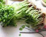 究極の節約鍋！食べたら中毒になる人続出！作り方2写真