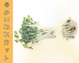 にんじんかいわれラペ【かなえの森】作り方3写真