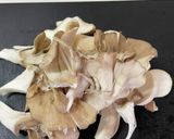 合挽肉の肉じゃが風作り方3写真