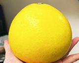 文旦の皮でマーマレード作り方1写真
