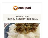 ふき味噌作り方9写真