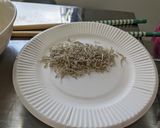 白ネギのカルパッチョ風作り方1写真