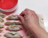 野菜ザクザク餃子作り方5写真