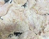 サメ肉♪【唐揚げ】みんな大好き☆カレー味作り方4写真
