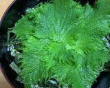 鉄火丼作り方6写真