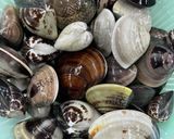 蛤のお出汁たっぷり贅沢なお吸い物作り方1写真