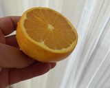ジン　ネーブル作り方1写真