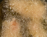 常識を覆した完成系唐揚げ作り方7写真