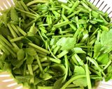 せりのおいなりさん！春の七草芹の稲荷寿司作り方1写真