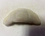 餅餃子作り方5写真