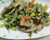 ごぼうとニラを使った野菜炒め作り方8写真