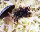 ごま油を生で活用❀刻みキャベツ和え作り方5写真