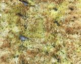 さわらの香草焼き作り方5写真
