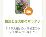 白菜と赤大根のサラダ♪作り方6写真