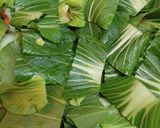 チンゲン菜の卵炒め作り方5写真