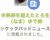 半熟卵を超えたとろ生（なま）ゆで卵作り方14写真