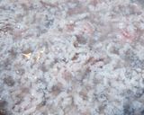 アジアンチックなカレーピラフ〜大地の恵み作り方2写真