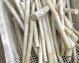 サトウキビ作り方1写真