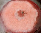 梅酢で作る梅塩「まろやかな塩味」作り方2写真