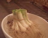 ネギの育て方作り方1写真