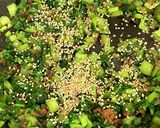 かぶの葉の鰹節炒め作り方5写真